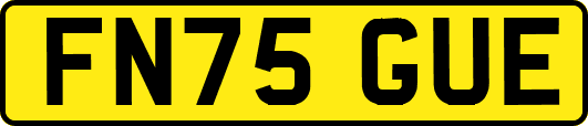 FN75GUE