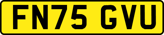 FN75GVU