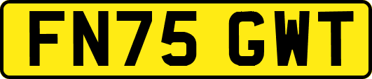 FN75GWT