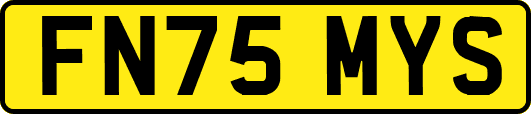 FN75MYS