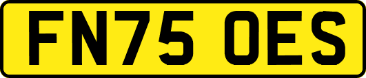 FN75OES
