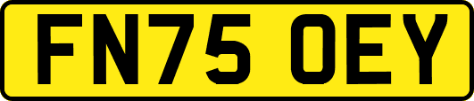 FN75OEY