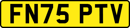 FN75PTV