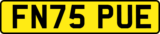 FN75PUE