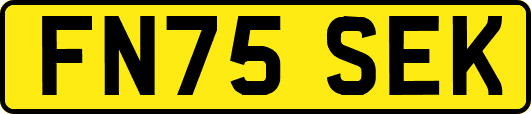 FN75SEK
