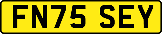 FN75SEY
