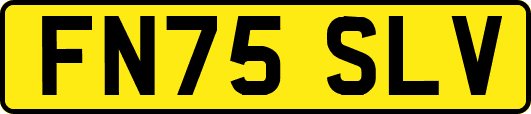 FN75SLV