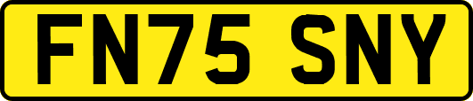 FN75SNY