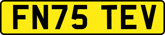 FN75TEV
