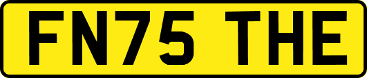 FN75THE