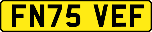 FN75VEF