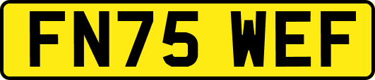 FN75WEF