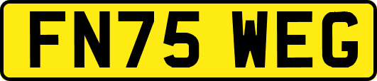 FN75WEG