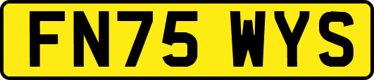 FN75WYS