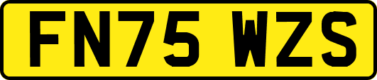 FN75WZS