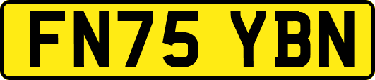 FN75YBN
