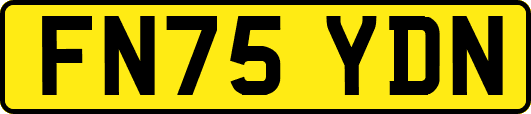 FN75YDN