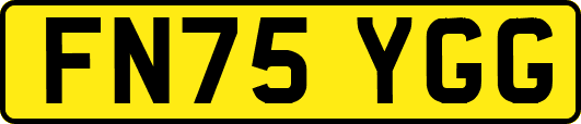 FN75YGG