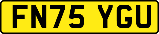 FN75YGU