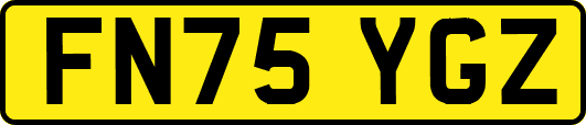 FN75YGZ
