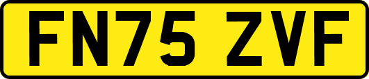 FN75ZVF