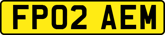 FP02AEM