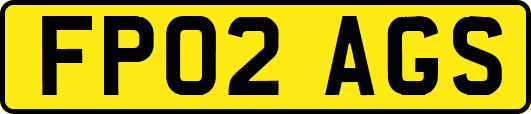FP02AGS