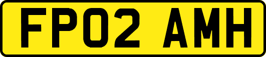 FP02AMH