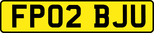 FP02BJU