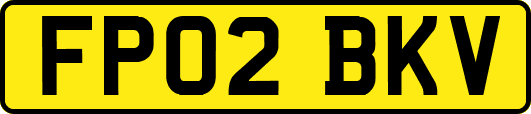 FP02BKV