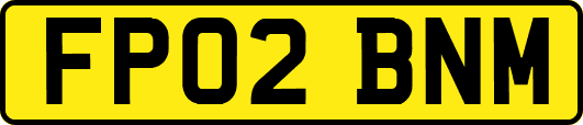 FP02BNM