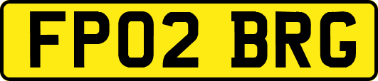FP02BRG