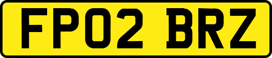 FP02BRZ