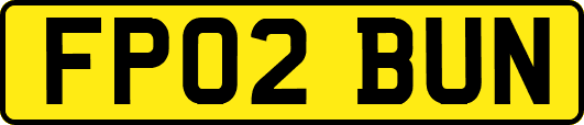 FP02BUN