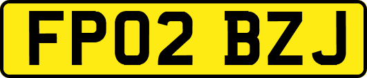 FP02BZJ