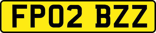 FP02BZZ