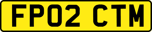 FP02CTM