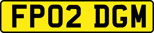 FP02DGM