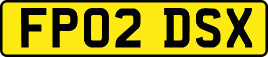 FP02DSX