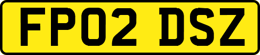 FP02DSZ