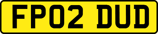 FP02DUD