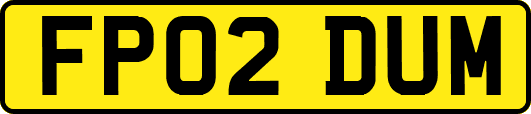 FP02DUM