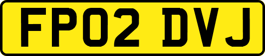 FP02DVJ