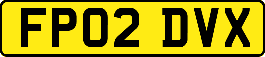 FP02DVX