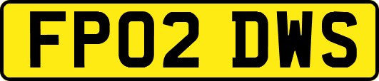 FP02DWS
