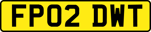 FP02DWT