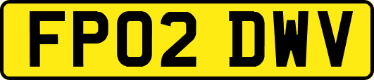 FP02DWV