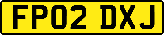 FP02DXJ
