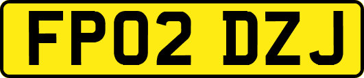 FP02DZJ
