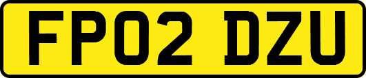 FP02DZU